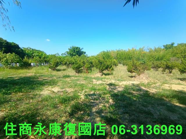 台南歸仁農地-2