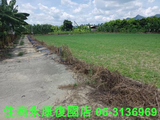 高雄旗山農地-12