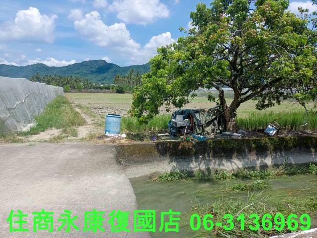 高雄旗山農地-5