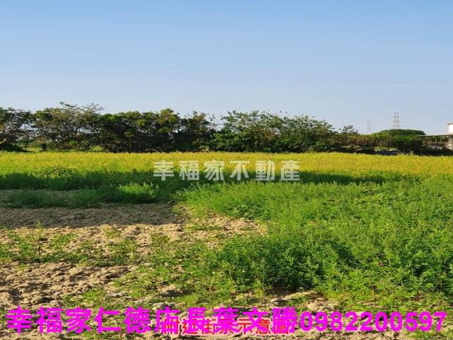 台南善化農地-12
