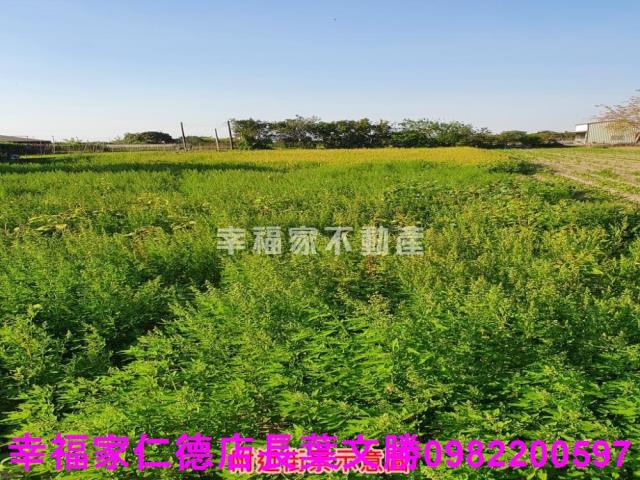 台南善化農地-15