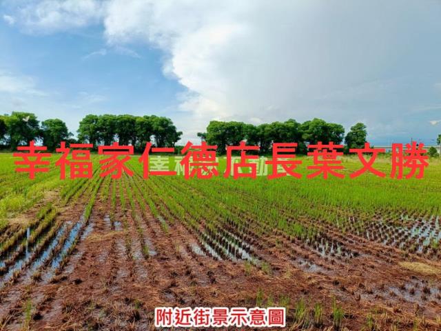 新營農地-2