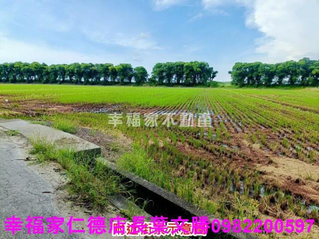 新營農地-5
