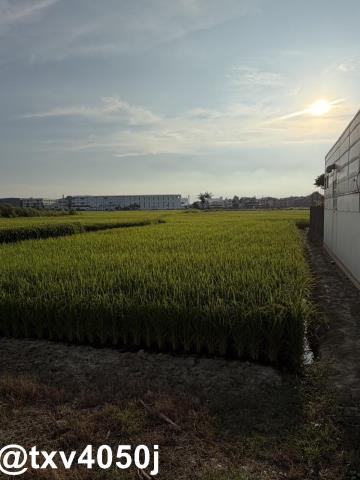官田住宅地-3
