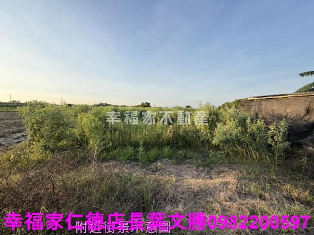 台南農地-3