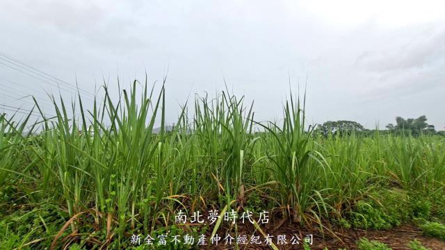 楠西農地-11