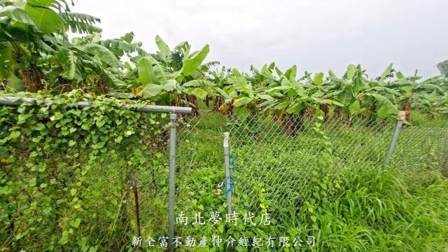 楠西農地-3
