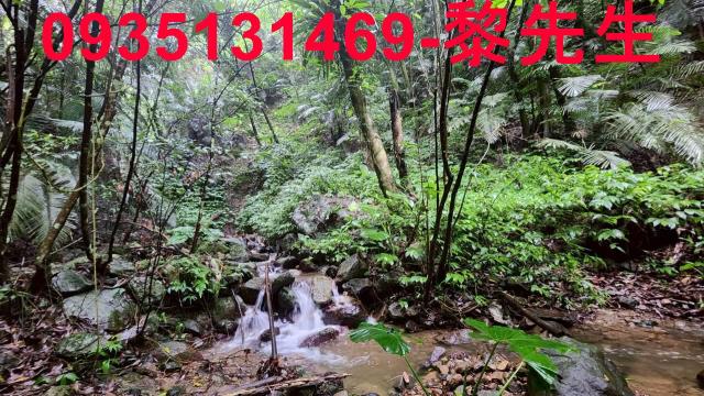 新竹橫山林地-8