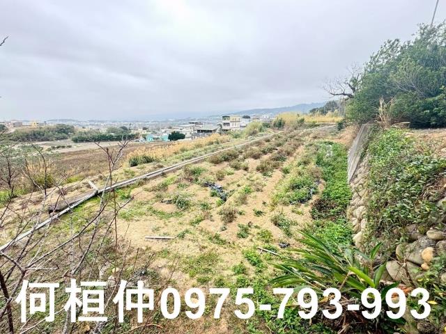 苗栗銅鑼農地-10