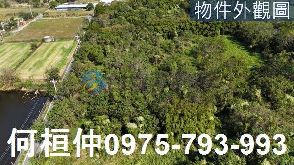 苗栗通霄農地-1