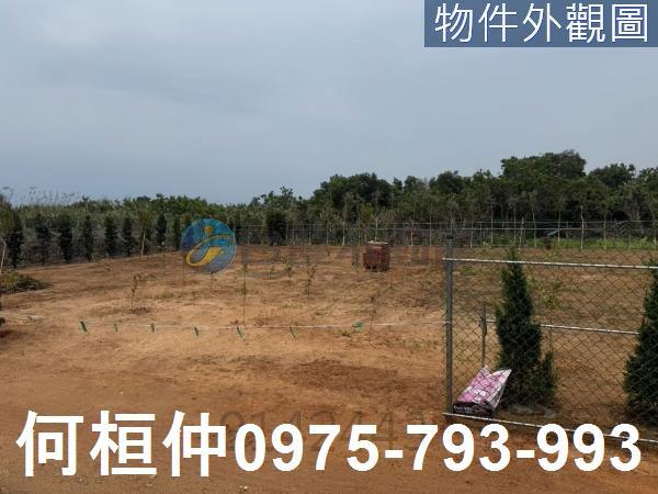 苗栗通霄農地-1