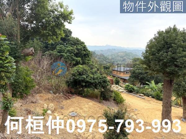苗栗通霄農地-2