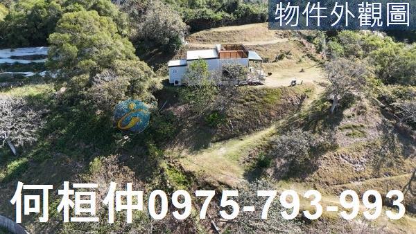 通霄農地-2