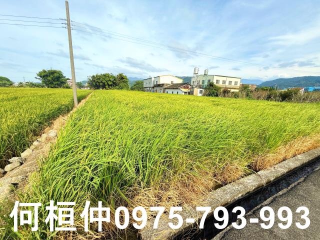 公館農地-5