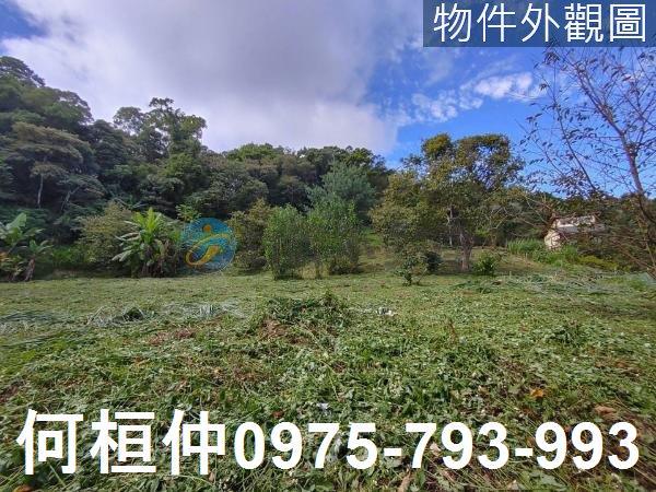 南庄農地-2