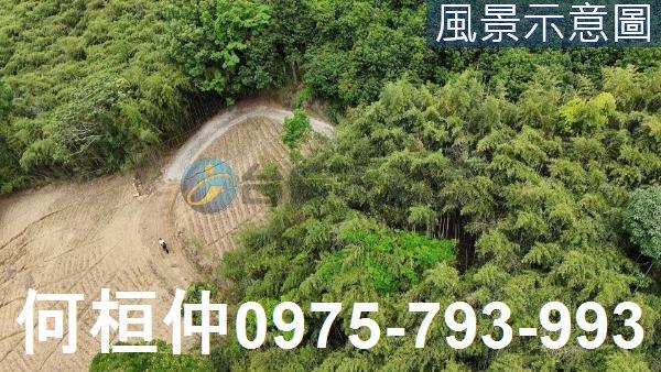 苗栗農地-3