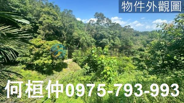 苗栗三灣農地-5