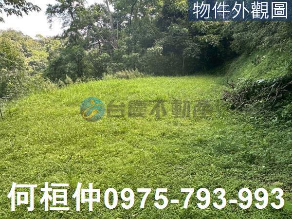 苗栗三灣農地-6