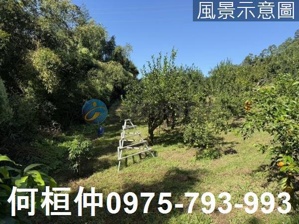 苗栗獅潭農地-5