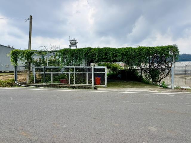 草屯農地-7