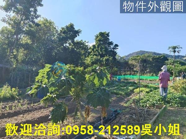 關西農地-3