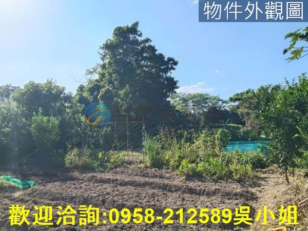 關西農地-4