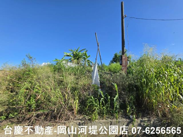 阿蓮農地-10