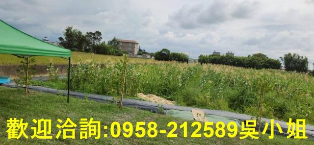 新竹農地-6