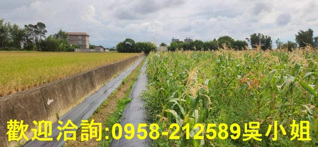 新竹農地-7