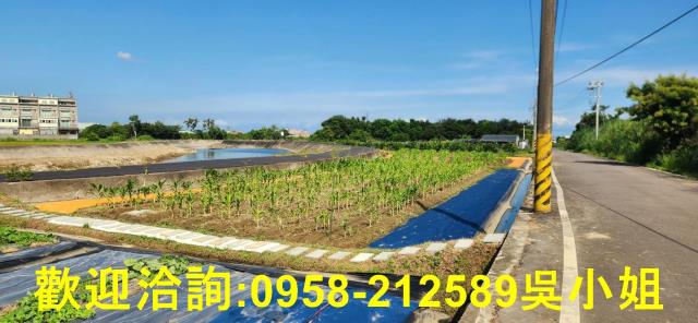 新竹新豐農地-3