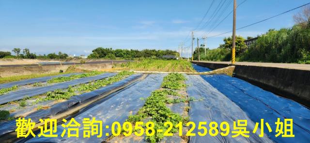 新竹新豐農地-6