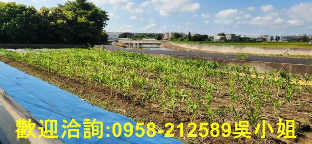 新竹新豐農地-9