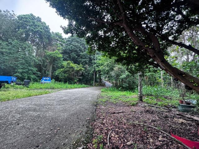 嘉義竹崎農地-4