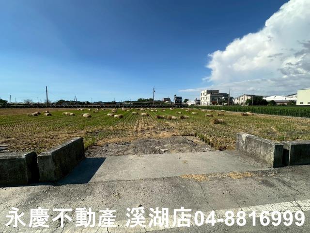 彰化田尾農地-1