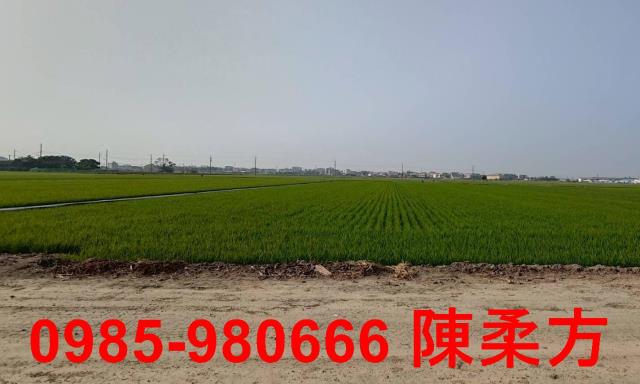 鹿草農地-14