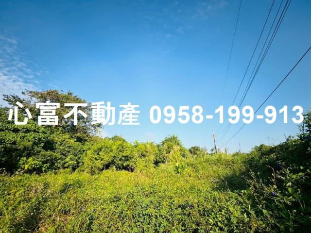 燕巢農地-1