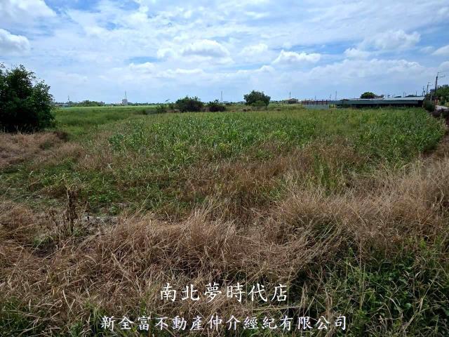 佳里農地-1