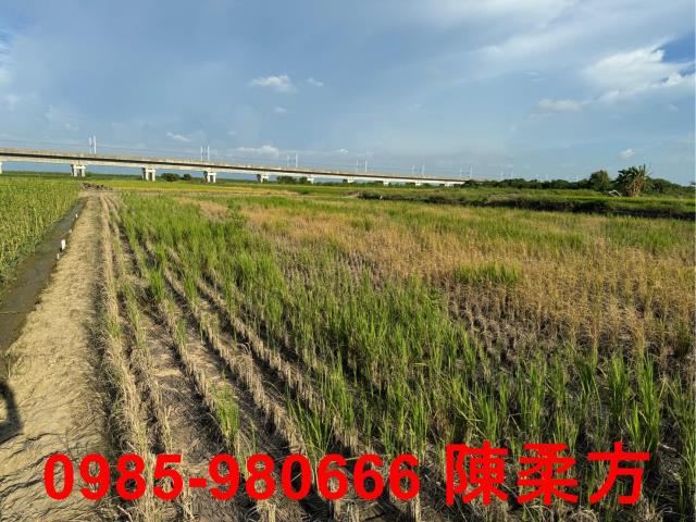 嘉義鹿草農地-2