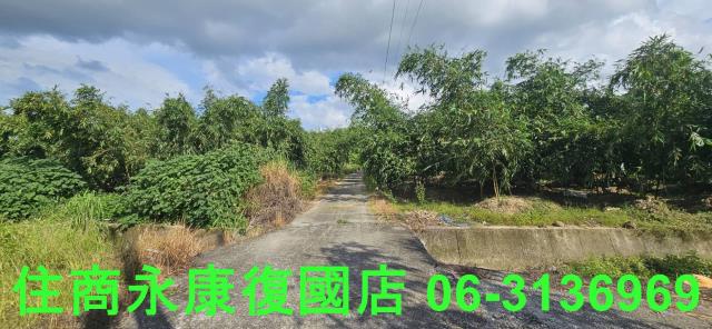 台南關廟農地-2