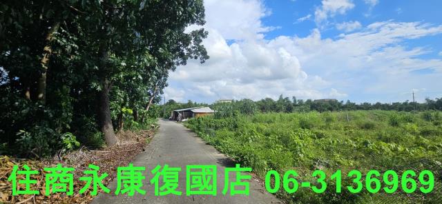 台南關廟農地-9