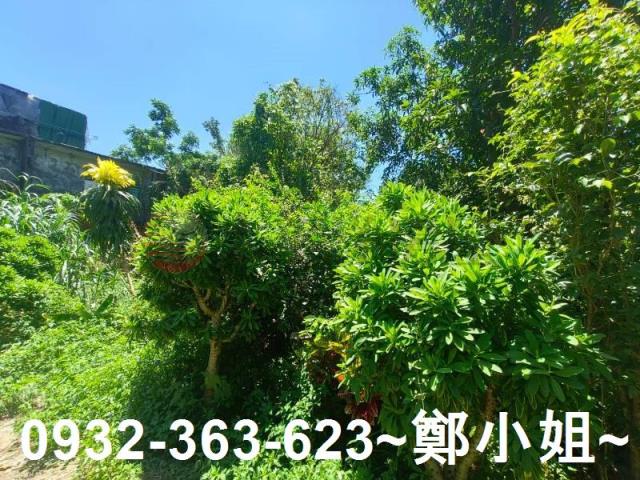 桃園龍潭農地-10