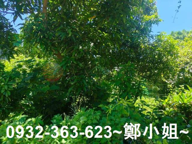 桃園龍潭農地-12