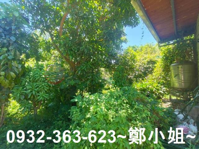 桃園龍潭農地-13