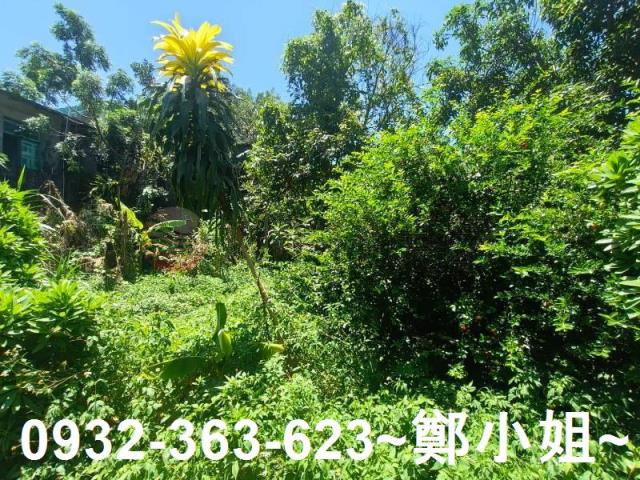 桃園龍潭農地-2