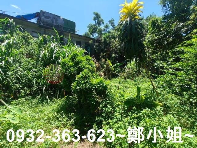 桃園龍潭農地-3