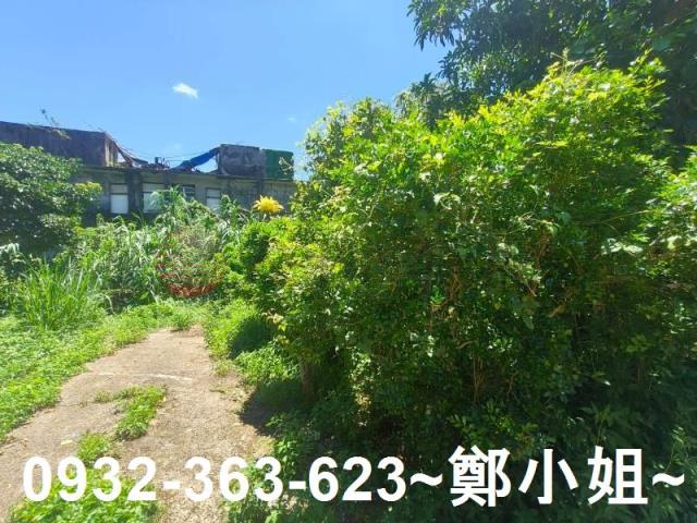 桃園龍潭農地-4