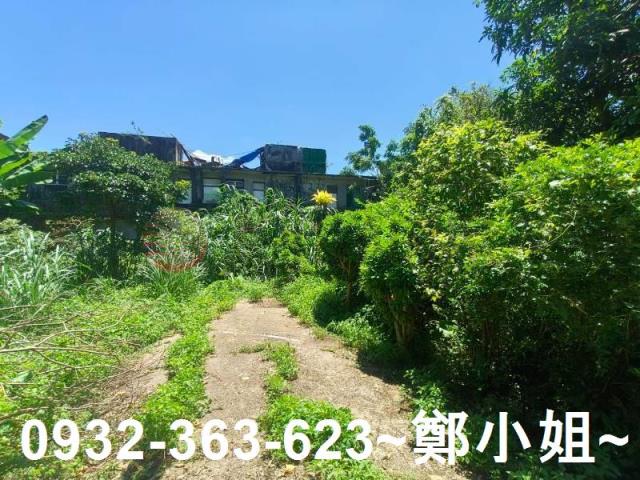 桃園龍潭農地-9