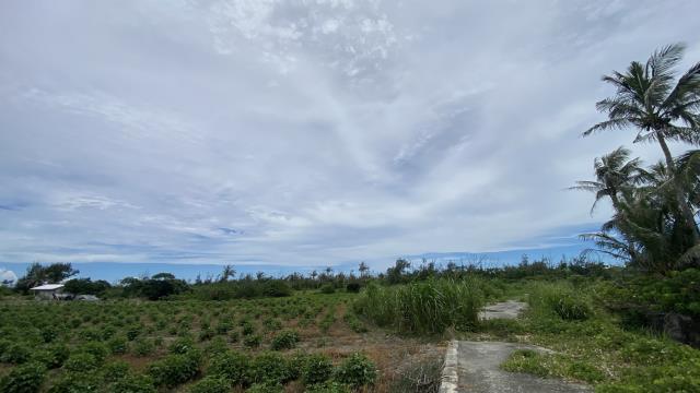 東河農地-8