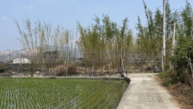 后里農地-4