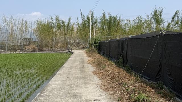 后里農地-5